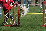 AGILITY - SAUT 015